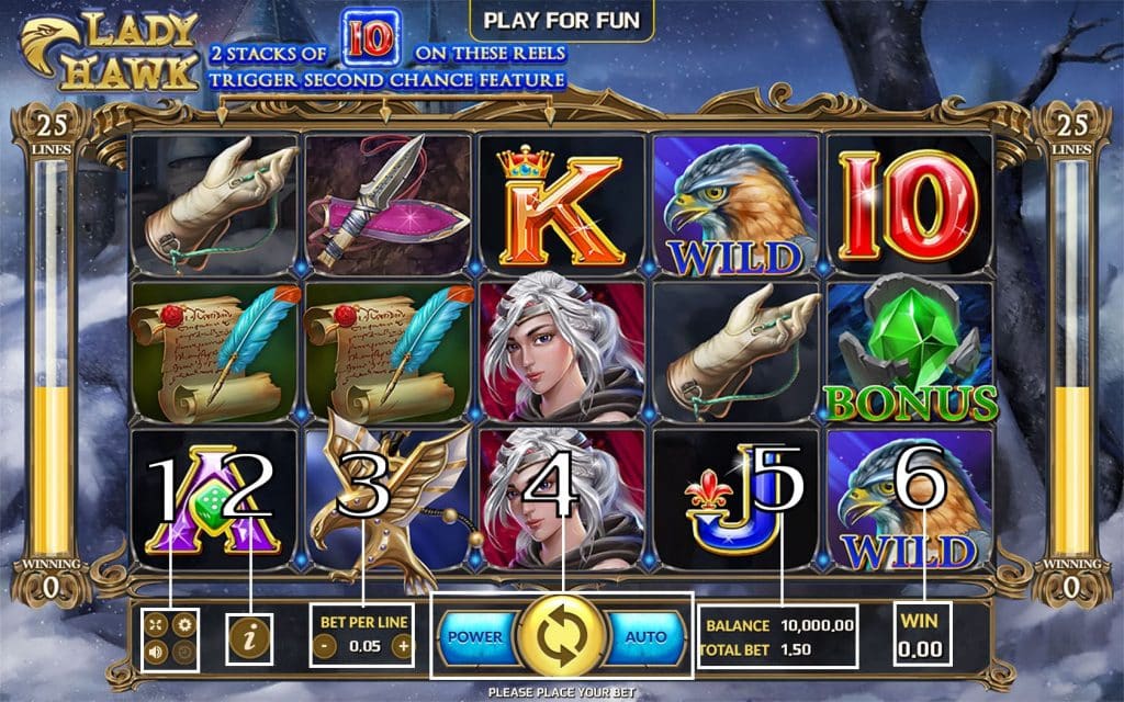 lady hawk-วิธีเล่น