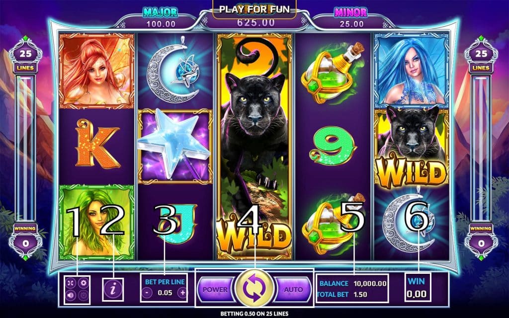 WILD FAIRIES-วิธีเล่น