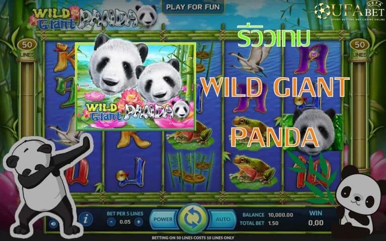 Wild Giant Panda