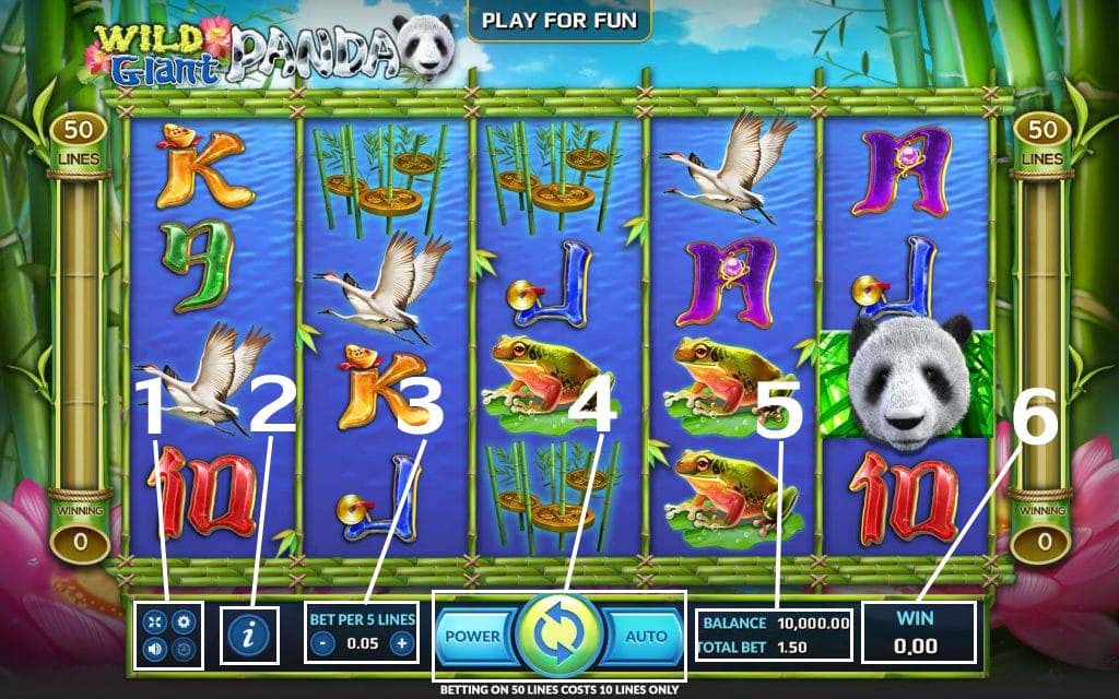 Wild Giant Panda-วิธีเล่น