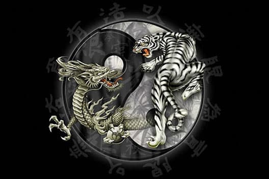 ไพ่ เสือ มังกร เกมวัดไพ่ใบเดียว