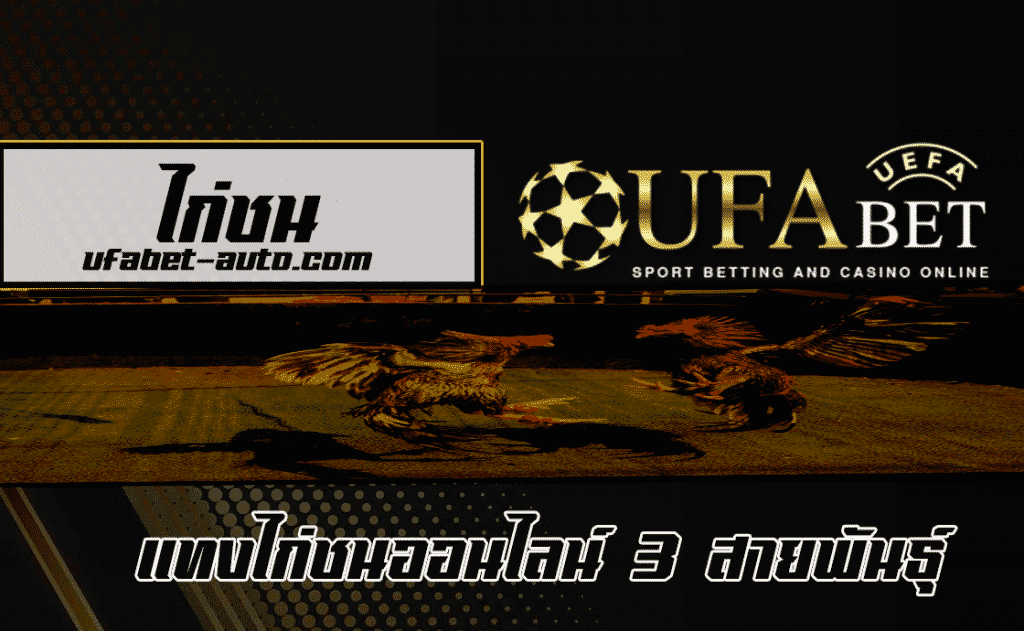 ตลาดไก่ชน